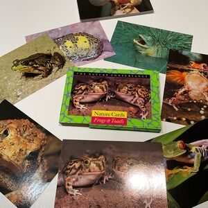 ❤️Set of Frogs & Toads Nature Cards, Size 7x5